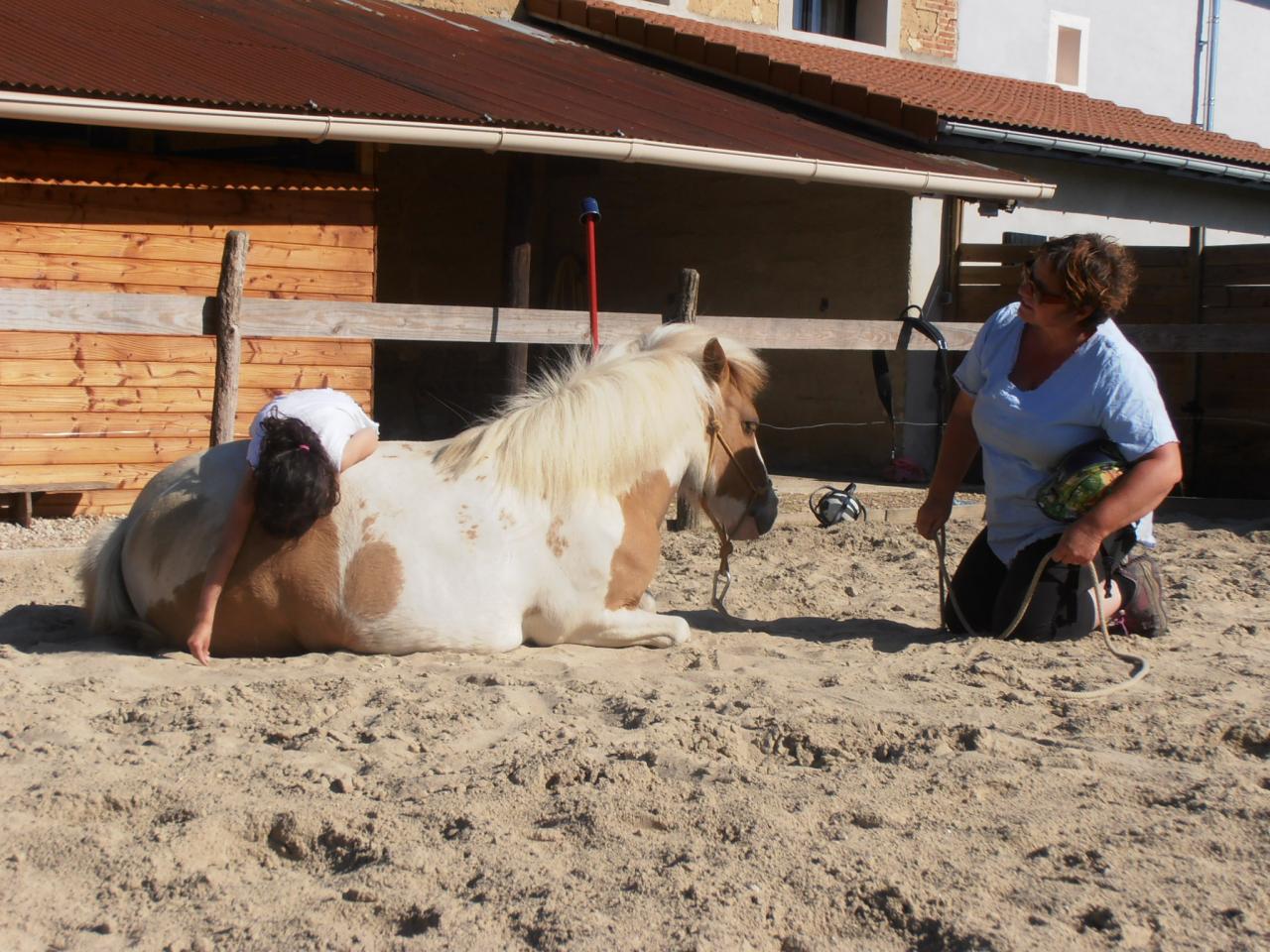 Relation avec le cheval