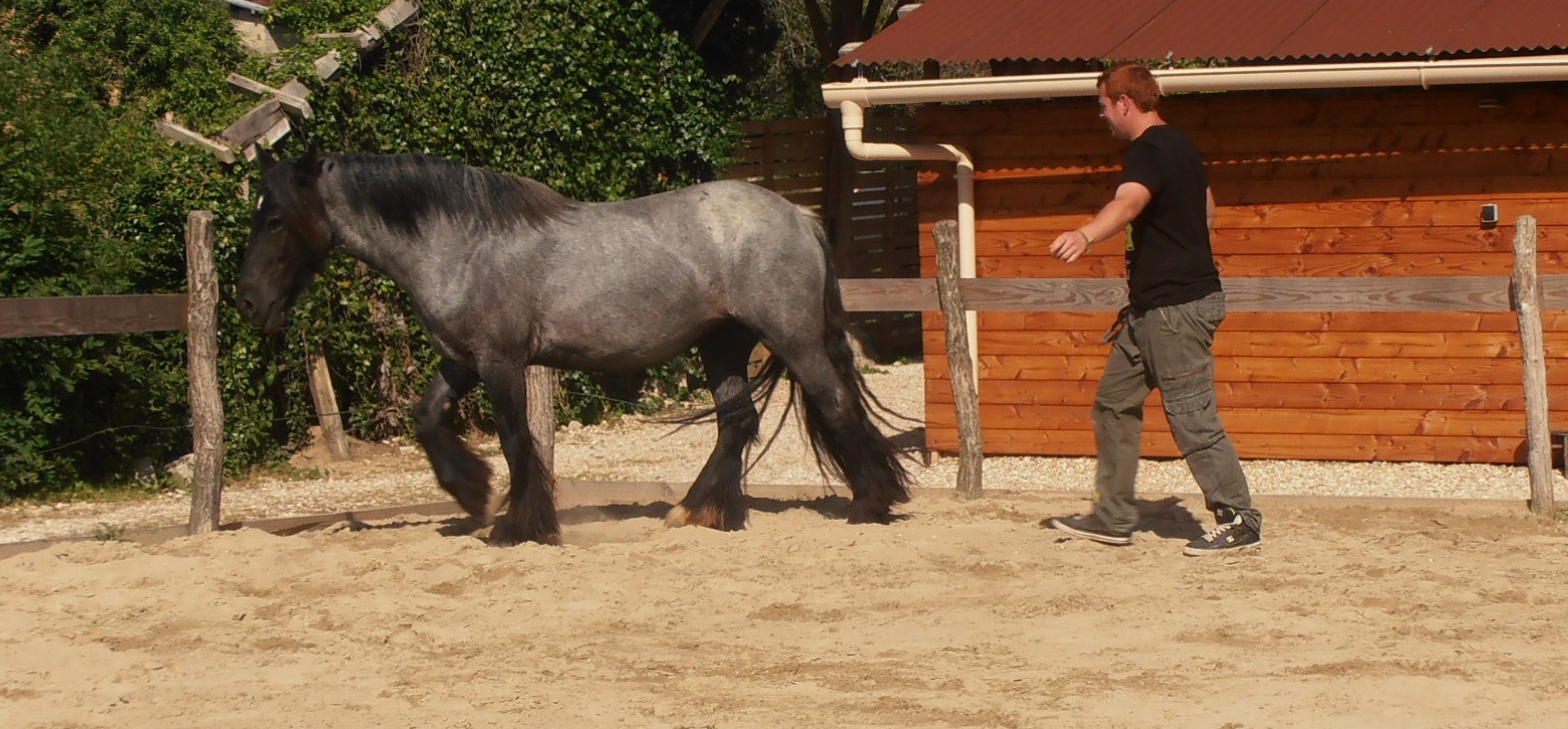 Nekita et thomas accueil